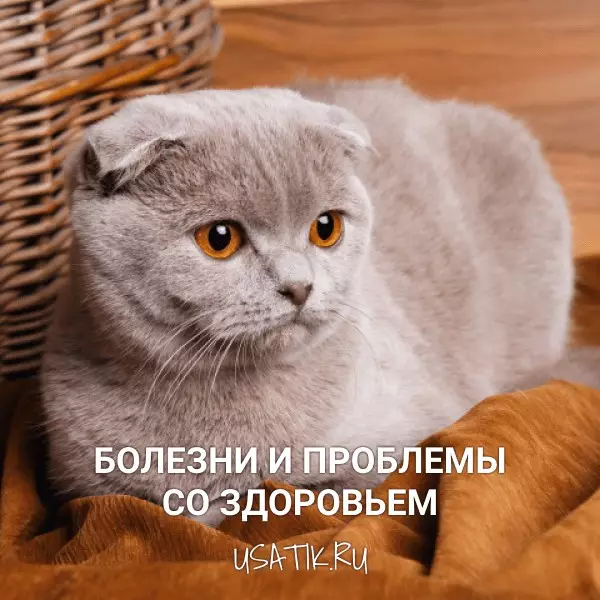Болезни и проблемы со здоровьем