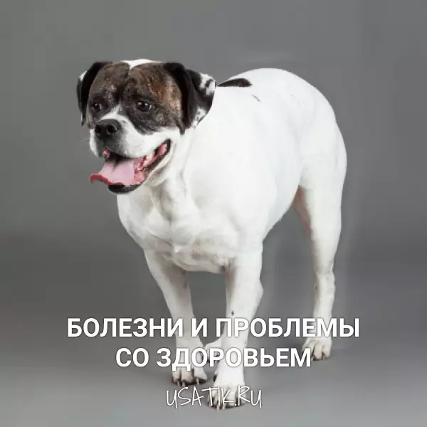 Болезни и проблемы со здоровьем