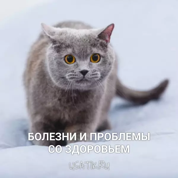 Болезни и проблемы со здоровьем