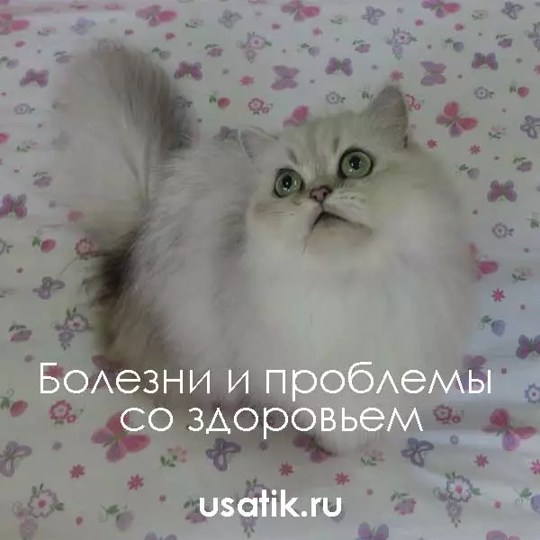 Болезни и проблемы со здоровьем