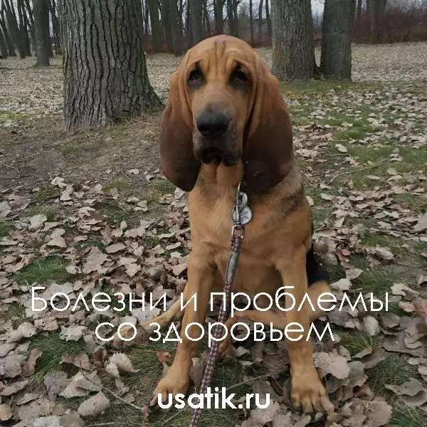 Болезни и проблемы со здоровьем