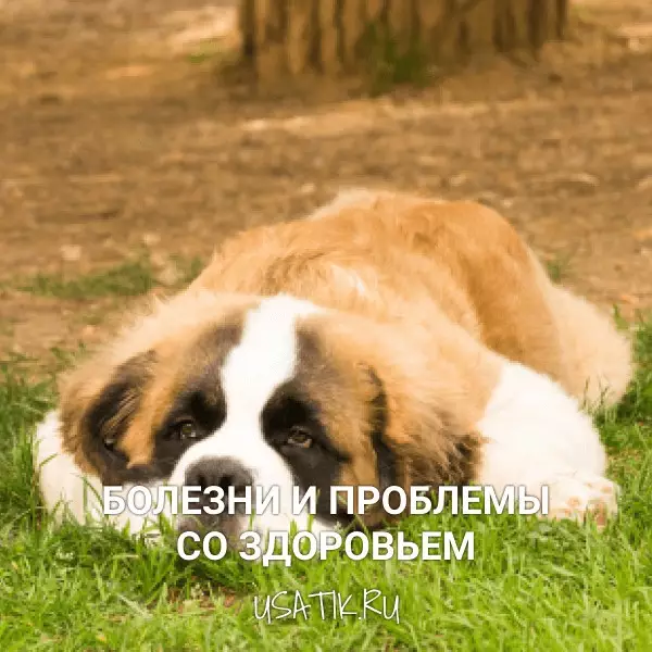 Болезни и проблемы со здоровьем