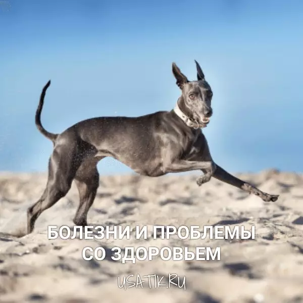 Болезни и проблемы со здоровьем