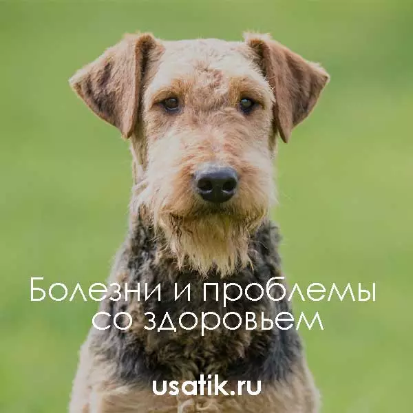 Болезни и проблемы со здоровьем