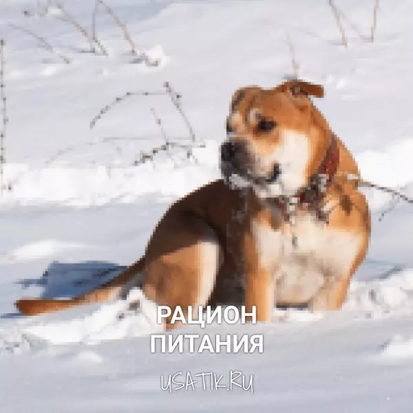 Рацион питания ка-де-бо