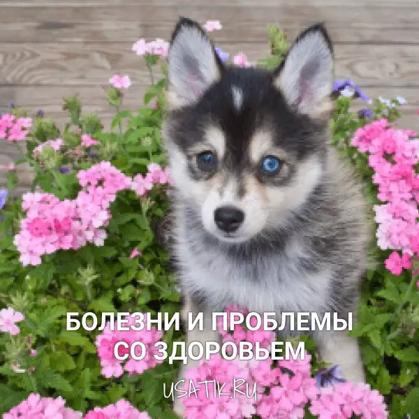 Болезни и проблемы со здоровьем